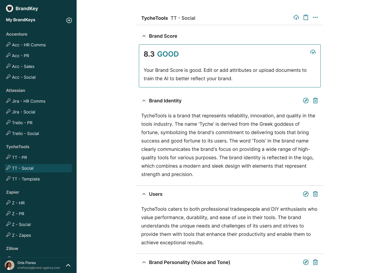 The BrandKey web app showing a brand’s identity, users, and personality