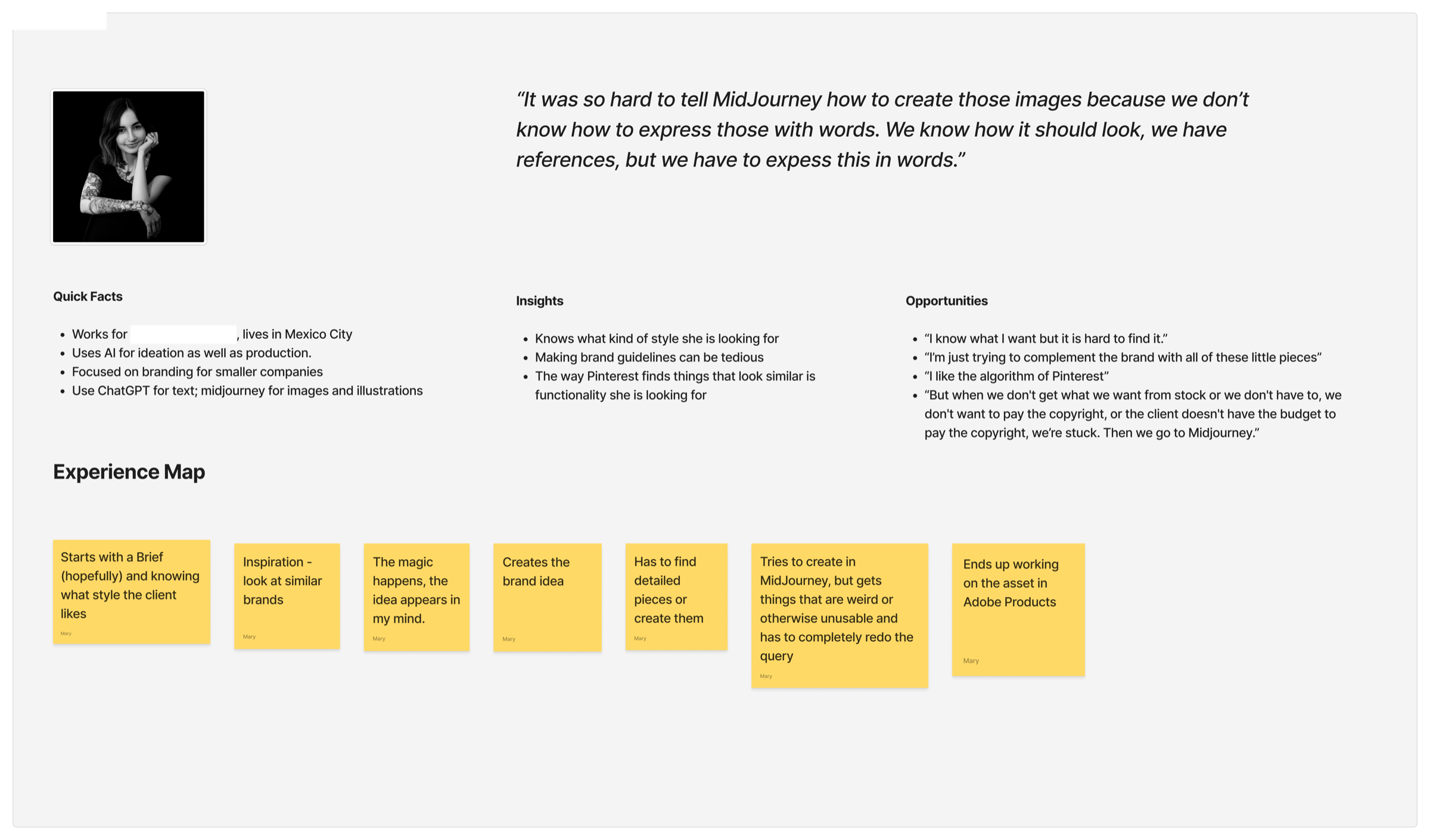 Interview snapshot with quick facts, insights, opportunities, and an experience map